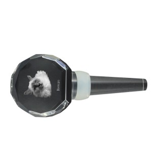 Birman - Crystal bottle stopper with cat, unique wine stopper with photo, personalised gift for sommelier by Art-Dog brand