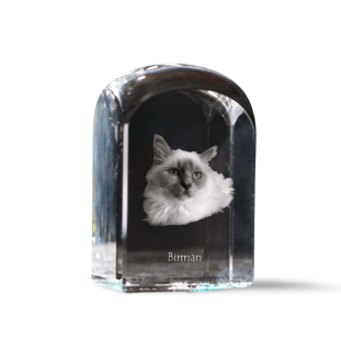 Birman - crystal cube with a photo, photo of a cat in crystal, cubic paperweight from Art-Dog brand