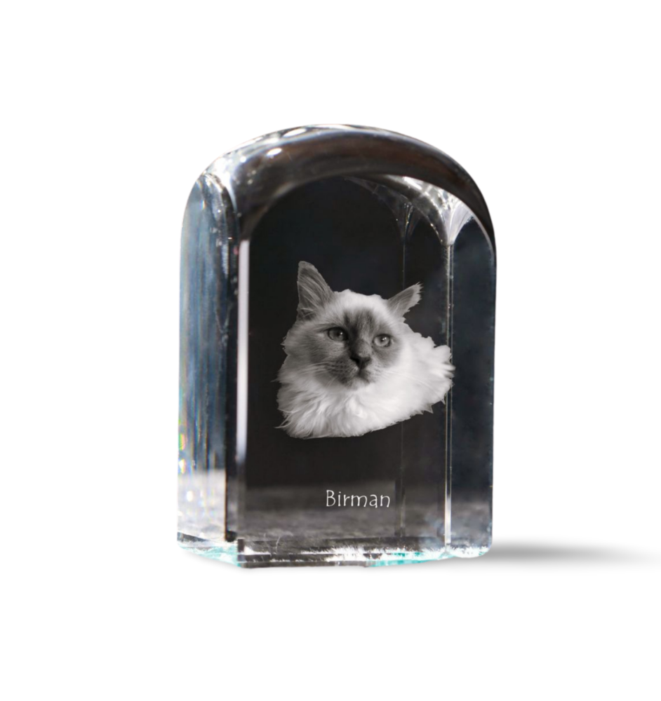 Birman - crystal cube with a photo, photo of a cat in crystal, cubic paperweight from Art-Dog brand