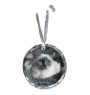 Birman - crystal bauble with a photo, photo of a cat in crystal, personalized Christmas tree ornament by Art-Dog brand