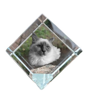 Birma - Kristallwürfel mit Katzenbild, Pferdebild im Kristall, sechseckiger Papierclip von der Marke Art-Dog