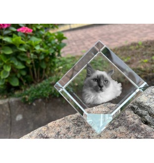 Birman - un cube en cristal avec une photo de chat, une photo de cheval dans le cristal, un presse-papiers cubique de la marque Art-Dog