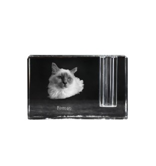 Birman - Pen stand, crystal organiser with cat photo, unique desk decoration by Art-Dog brand