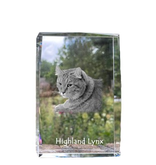 Hochlandluchs - Kristall mit einem Katzenbild, Bild im Glas, moderne Ausstellung des Art-Dog-Fotos.