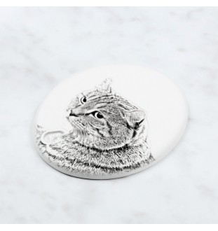 Lynx des Highlands - une plaque commémorative avec une photo de chat, une plaque funéraire avec une impression, une plaque ovale personnalisée de la marque Art-Dog