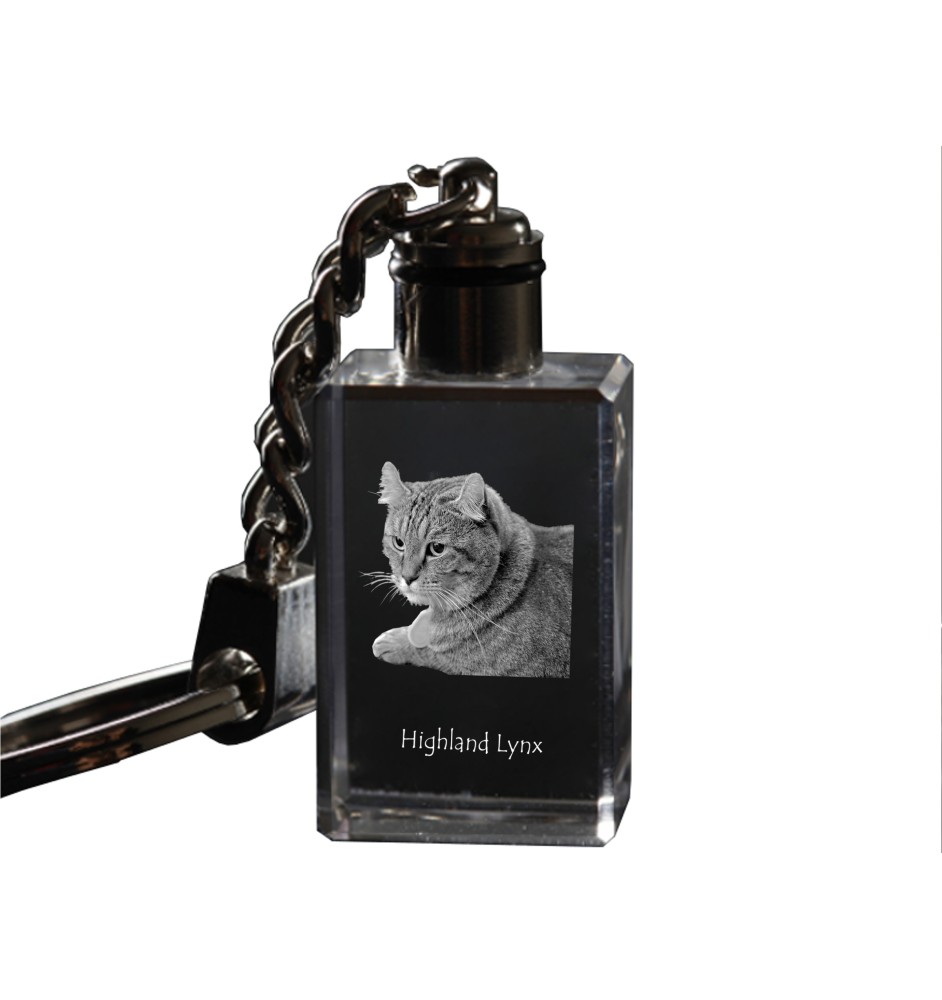 Highland Lynx - Crystal pendant with cat photo, illuminated pendant, unique gift by Art-Dog brand