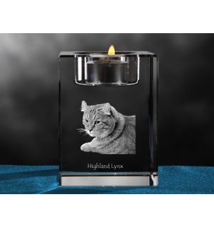 Hochlandluchs - Kerzenhalter mit Katzenfoto, Teelichthalter aus Kristall, personalisiertes Geschenk der Marke Art-Dog