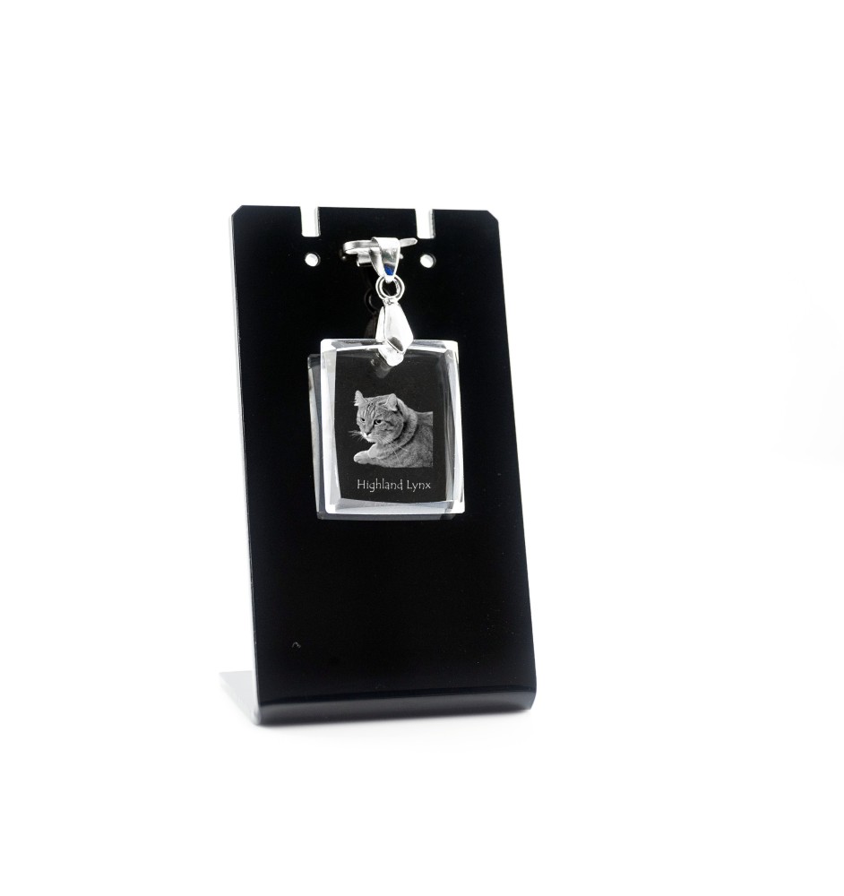 Lynx des Highlands - Crystal cat pendant, photo necklace, unique jewellery by Art-Dog