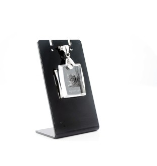 Lynx des Highlands - Crystal cat pendant, photo necklace, unique jewellery by Art-Dog