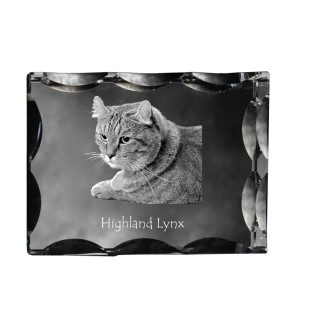 Hochlandluchs - Kristall mit Katzenbild, Glasstatuette mit Bild, einzigartiger Bilderrahmen der Marke Art-Dog