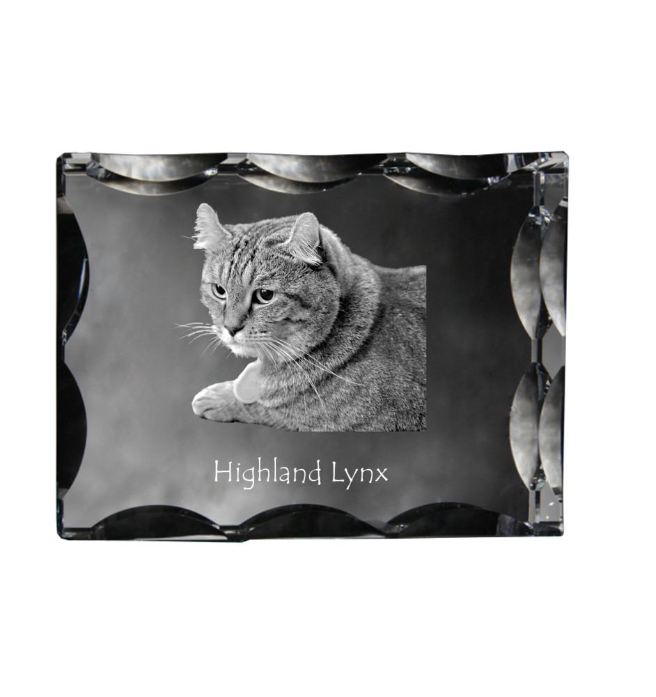 Hochlandluchs - Kristall mit Katzenbild, Glasstatuette mit Bild, einzigartiger Bilderrahmen der Marke Art-Dog