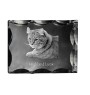 Lynx des Highlands - cristal avec une photo de chat, une statuette en verre avec une photo, un cadre exceptionnel avec une photo de la marque Art-Dog