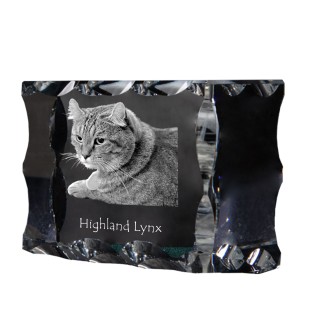 Lynx des Highlands - cristal avec une photo de chat, une statuette en verre avec une photo, un cadre exceptionnel avec une photo de la marque Art-Dog