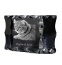 Highland Lynx - crystal with a cat picture, glass statuette with a picture, unique frame with a picture from Art-Dog brand