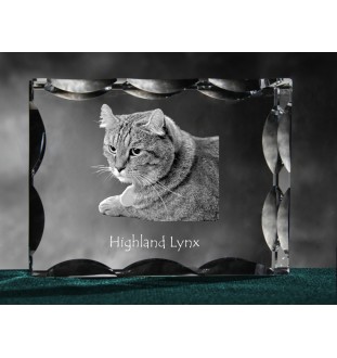Lynx des Highlands - cristal avec une photo de chat, une statuette en verre avec une photo, un cadre exceptionnel avec une photo de la marque Art-Dog