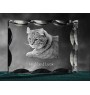 Hochlandluchs - Kristall mit Katzenbild, Glasstatuette mit Bild, einzigartiger Bilderrahmen der Marke Art-Dog