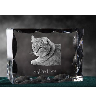 Lynx des Highlands - cristal avec une photo de chat, une statuette en verre avec une photo, un cadre exceptionnel avec une photo de la marque Art-Dog