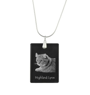 Lynx des Highlands - Crystal pendant with cat, silver necklace with photo, personalised pendant by Art-Dog brand