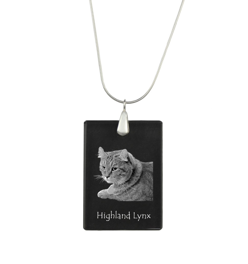 Hochlandluchs - Crystal pendant with cat, silver necklace with photo, personalised pendant by Art-Dog brand