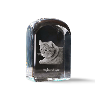 Highland Lynx - crystal cube with a photo, photo of a cat in crystal, cubic paperweight from Art-Dog brand