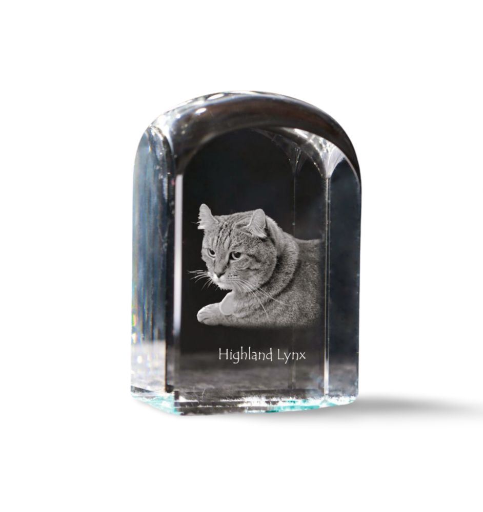 Highland Lynx - crystal cube with a photo, photo of a cat in crystal, cubic paperweight from Art-Dog brand