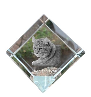 Highland Lynx - crystal cube with a picture of a cat, crystal with a picture of a horse, cubic paperweight by Art-Dog brand
