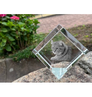 Lynx des Highlands - un cube en cristal avec une photo de chat, une photo de cheval dans le cristal, un presse-papiers cubique de la marque Art-Dog