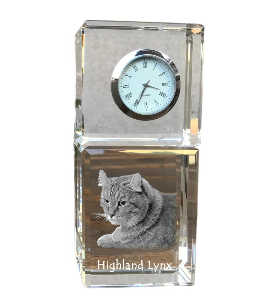 Highland Lynx - crystal clock with a photo, photo of a cat in crystal, personalized desk clock by Art-Dog brand