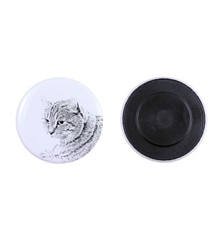 Kot szkocki  magnes z kotem mały Art-Dog