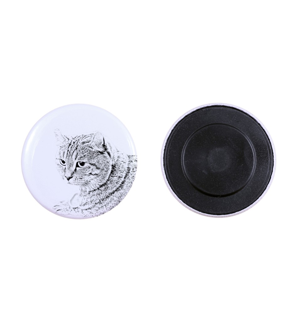 Kot szkocki  magnes z kotem mały Art-Dog