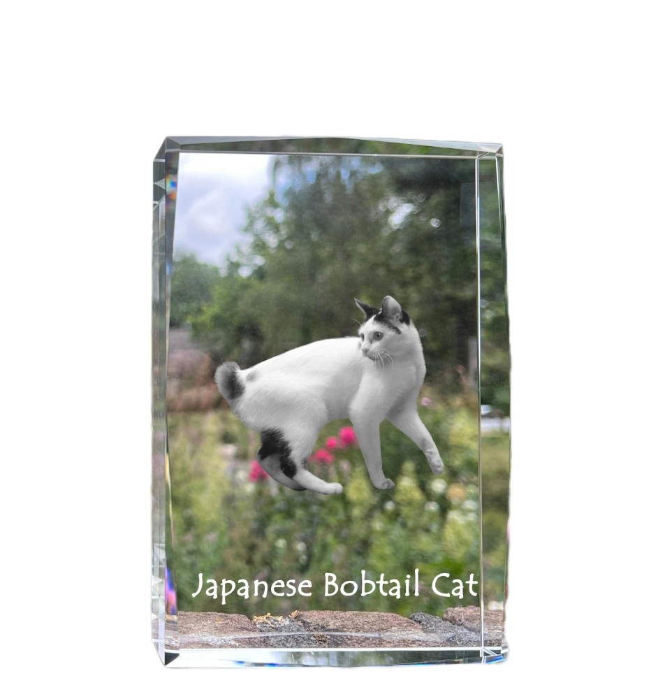 Chat japonais Bobtail - cristal avec une photo de chat, photo sous verre, exposition moderne de la marque de photos Art-Dog
