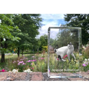 Chat japonais Bobtail - cristal avec une photo de chat, photo sous verre, exposition moderne de la marque de photos Art-Dog