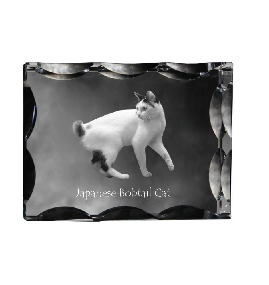 Japanese Bobtail Cat - crystal with a cat picture, glass statuette with a picture, unique frame with a picture from Art-Dog brand