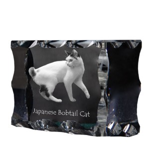 Japanische Bobtail Katze - Kristall mit Katzenbild, Glasstatuette mit Bild, einzigartiger Bilderrahmen der Marke Art-Dog
