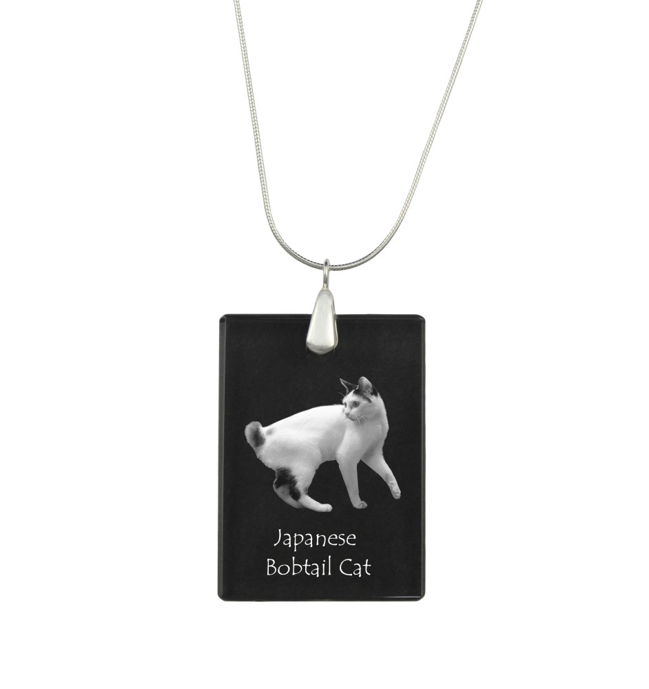 Japanische Bobtail Katze - Crystal pendant with cat, silver necklace with photo, personalised pendant by Art-Dog brand