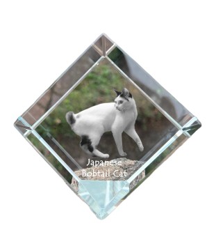 Japanese Bobtail Cat - crystal cube with a picture of a cat, crystal with a picture of a horse, cubic paperweight by Art-Dog brand
