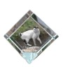 Japanische Bobtail Katze - Kristallwürfel mit Katzenbild, Pferdebild im Kristall, sechseckiger Papierclip von der Marke Art-Dog