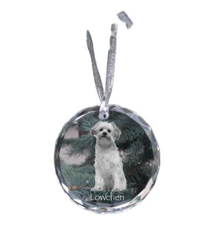 Petit chien lion - boule de Noël en cristal avec une photo, photo de chien dans le cristal, décoration personnalisée pour sapin de Noël de la marque Art-Dog