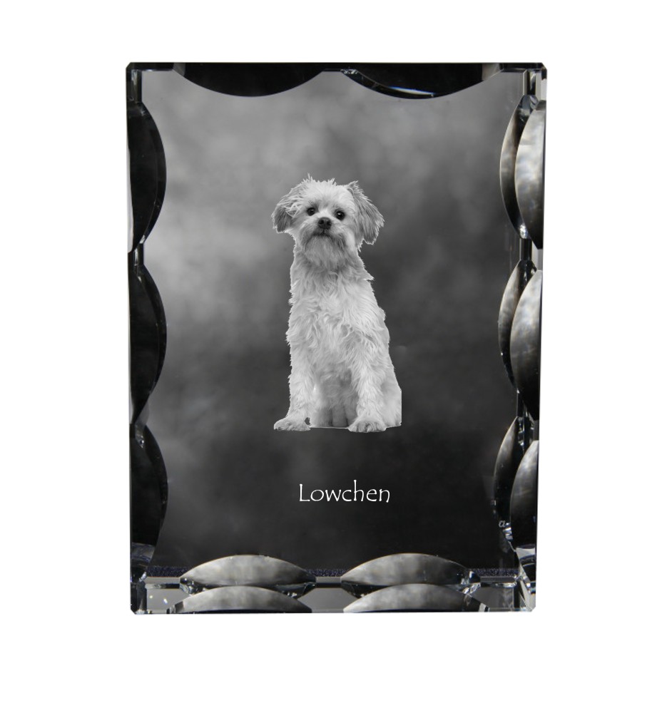 Petit chien lion - cristal avec photo de chien, statuette en verre avec photo, cadre exceptionnel avec photo de la marque Art-Dog