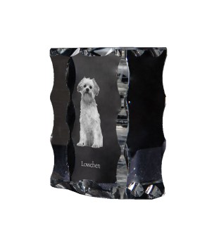Lowchen, Little Lion Dog - crystal with a picture of a dog, glass statuette with a picture, unique frame with a picture from Art-Dog brand