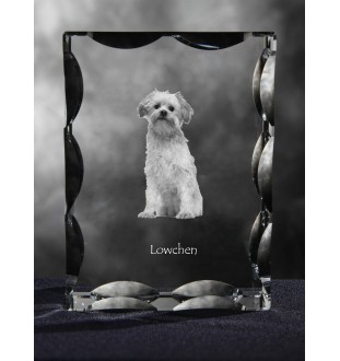 Löwchen - Kristall mit einem Hundebild, Glasstatuette mit einem Bild, einzigartiger Bilderrahmen der Marke Art-Dog