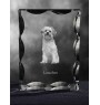Lowchen, Little Lion Dog - crystal with a picture of a dog, glass statuette with a picture, unique frame with a picture from Art-Dog brand