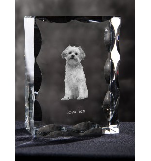 Lowchen, Little Lion Dog - crystal with a picture of a dog, glass statuette with a picture, unique frame with a picture from Art-Dog brand
