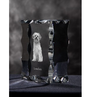 Lowchen, Little Lion Dog - crystal with a picture of a dog, glass statuette with a picture, unique frame with a picture from Art-Dog brand