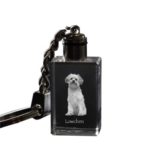 Petit chien lion - Porte-clés en cristal avec photo de chien, porte-clés lumineux, cadeau unique de la marque Art-Dog