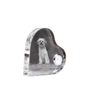 Lowchen, Little Lion Dog - crystal clock with a dog picture, heart-shaped shelf clock, personalized standing clock by Art-Dog brand