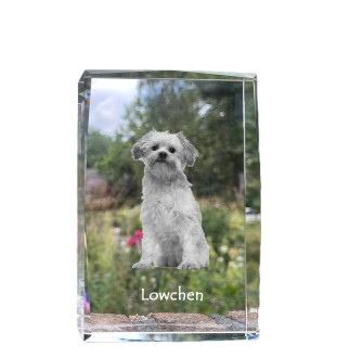 Löwchen - Kristall mit einem Hundebild, Bild im Glas, moderne Ausstellung des Art-Dog-Bildes.