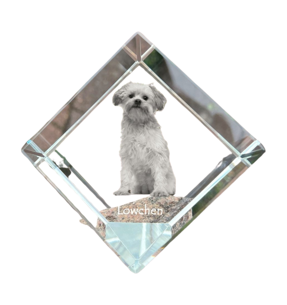 Petit chien lion - un cube de cristal avec une photo, une photo de cheval dans le cristal, un presse-papiers cubique de la marque Art-Dog