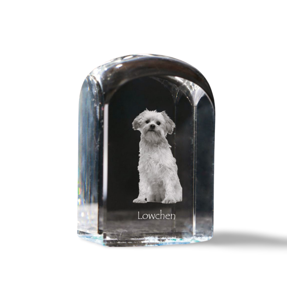Petit chien lion - un cube de cristal avec une photo, une photo de chien dans le cristal, un presse-papiers cubique de la marque Art-Dog