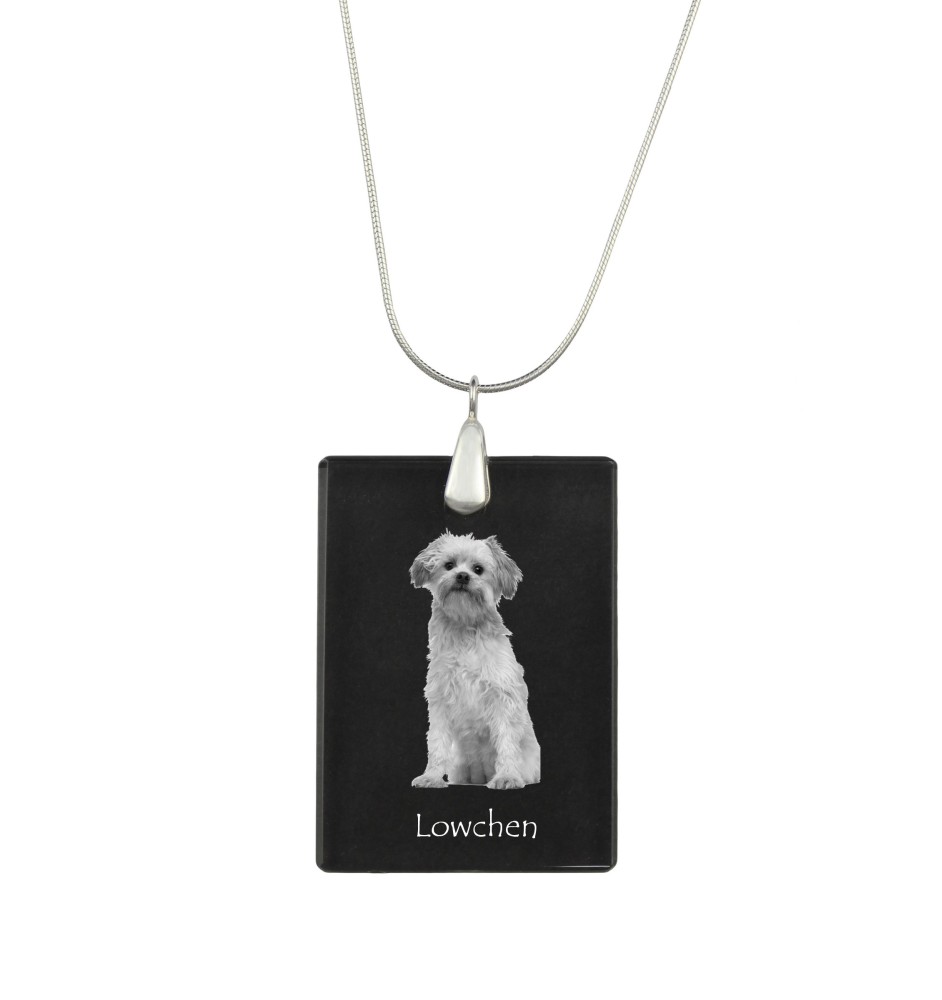 Lowchen, Little Lion Dog - Crystal pendant with dog, silver necklace with photo, personalised pendant by Art-Dog brand